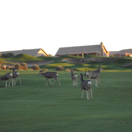 Gold Canyon Golf Resort Room photo