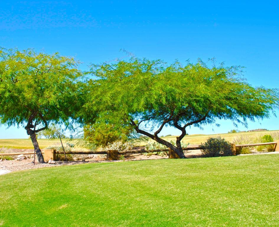 Gold Canyon Golf Resort Room photo